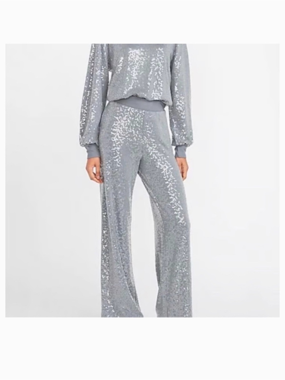 Express Sequin Wide-Leg Pants NWT Grey/Tan color clear sequins